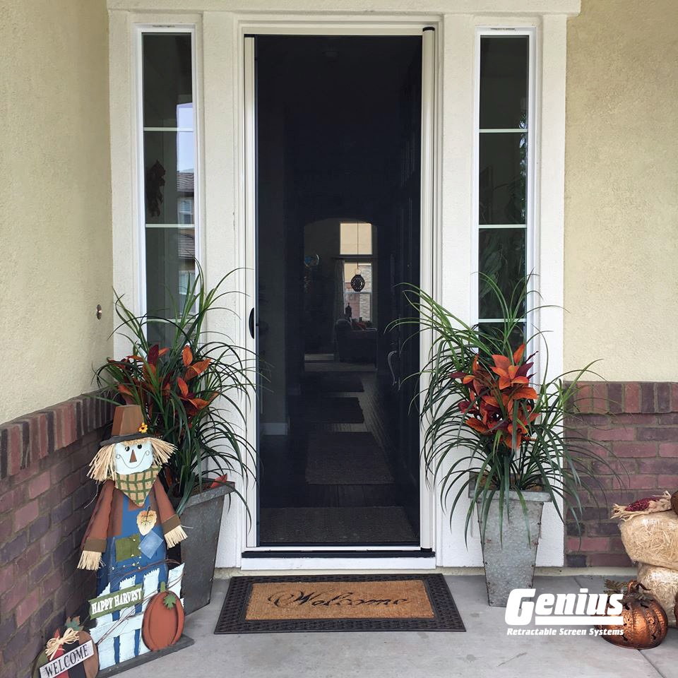 Retractable Screen Doors Quality Screen Company